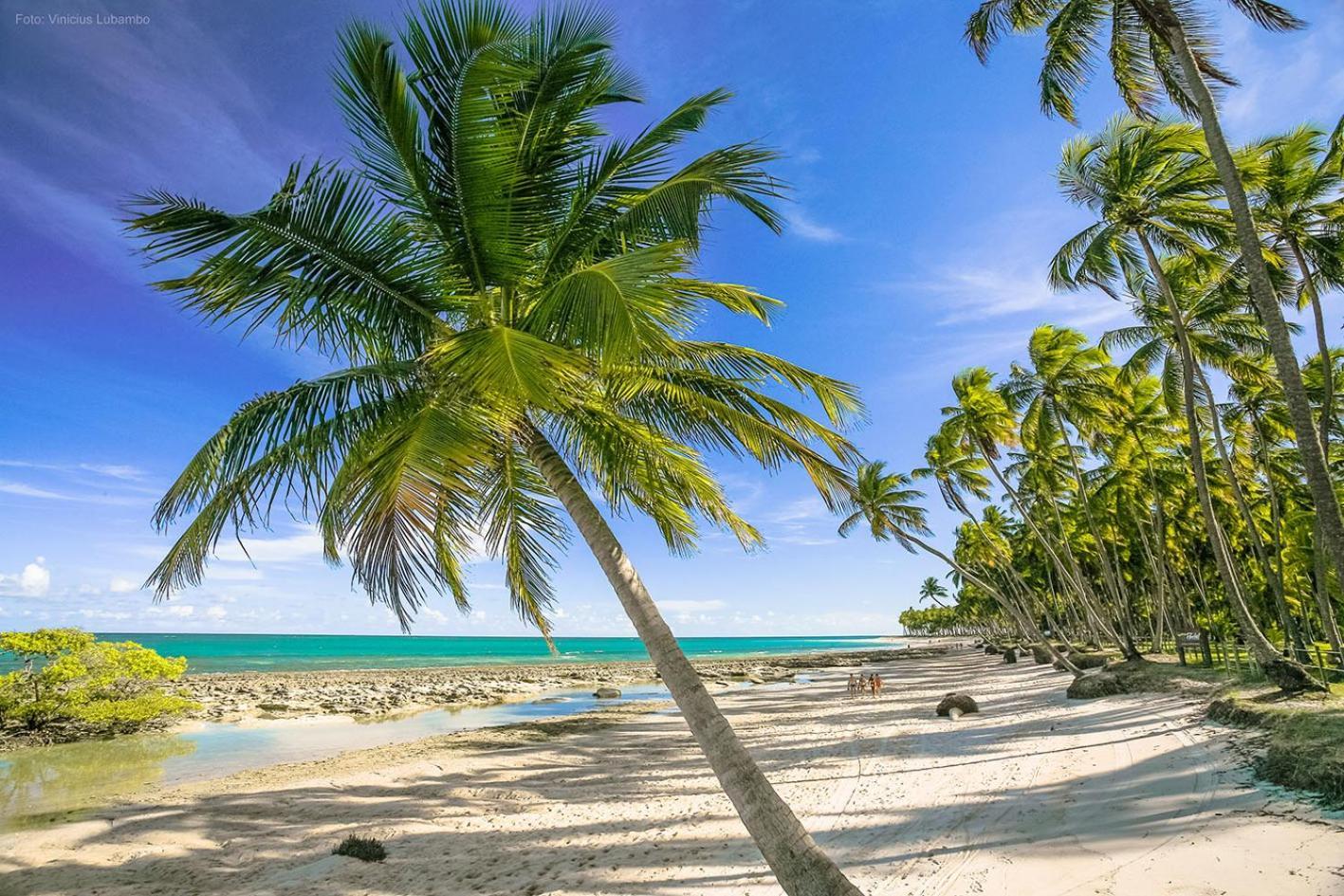 Carneiros Beach Resort Прайя дос Карнейрос Екстериор снимка